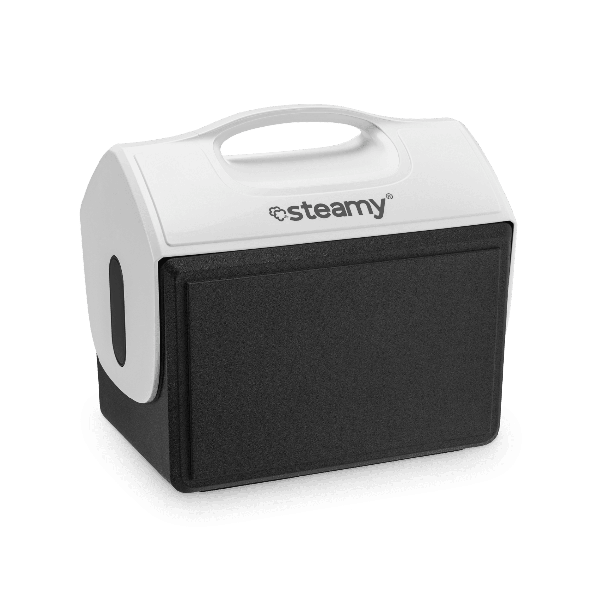 koelbox steamy-1 koelbox steamy-1